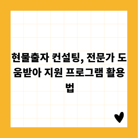 현물출자 컨설팅, 전문가 도움받아 지원 프로그램 활용법