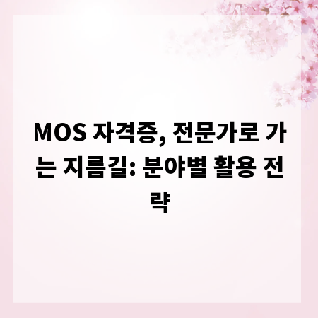MOS 자격증, 전문가로 가는 지름길: 분야별 활용 전략