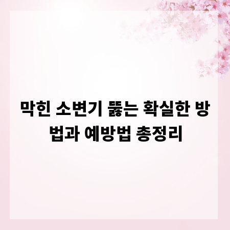 막힌 소변기 뚫는 확실한 방법과 예방법 총정리