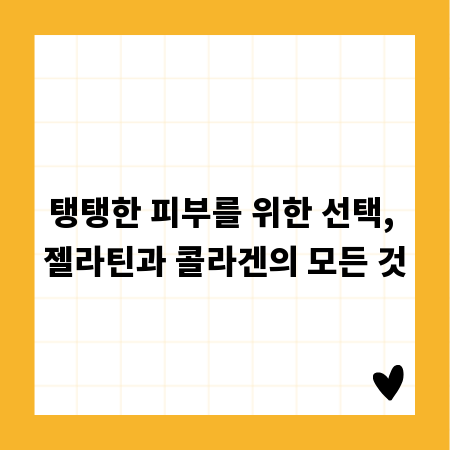 탱탱한 피부를 위한 선택, 젤라틴과 콜라겐의 모든 것