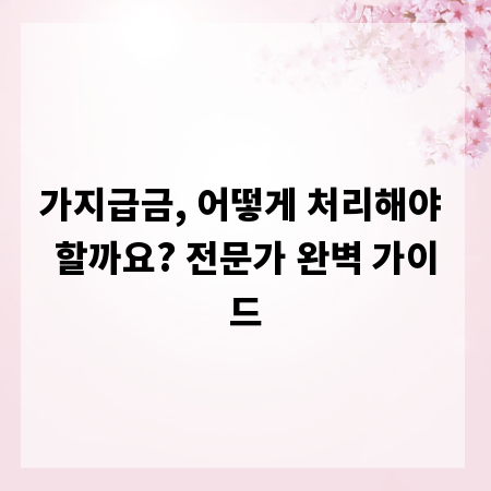 가지급금, 어떻게 처리해야 할까요? 전문가 완벽 가이드
