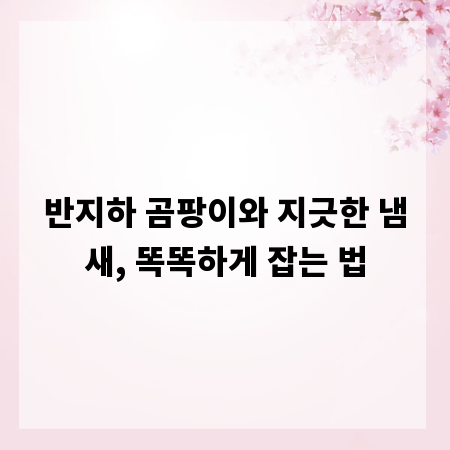 반지하 곰팡이와 지긋한 냄새, 똑똑하게 잡는 법