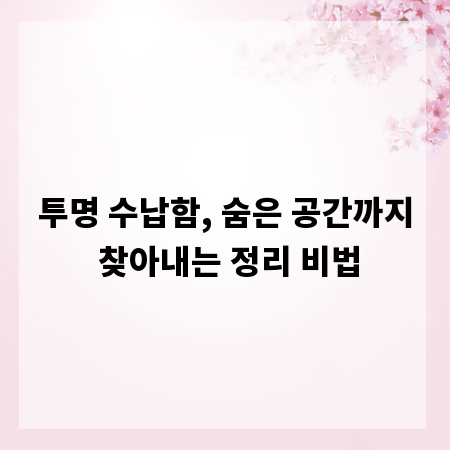 투명 수납함, 숨은 공간까지 찾아내는 정리 비법
