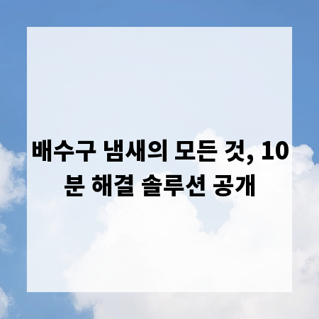 배수구 냄새의 모든 것, 10분 해결 솔루션 공개