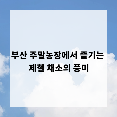 부산 주말농장에서 즐기는 제철 채소의 풍미