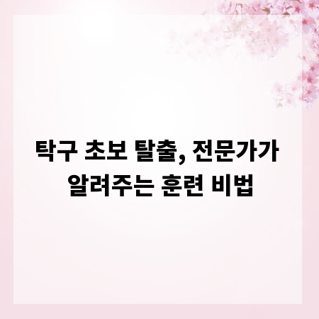 탁구 초보 탈출, 전문가가 알려주는 훈련 비법