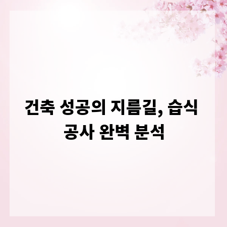 건축 성공의 지름길, 습식 공사 완벽 분석
