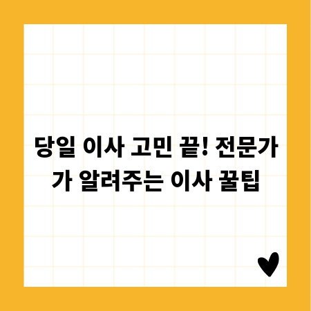 당일 이사 고민 끝! 전문가가 알려주는 이사 꿀팁