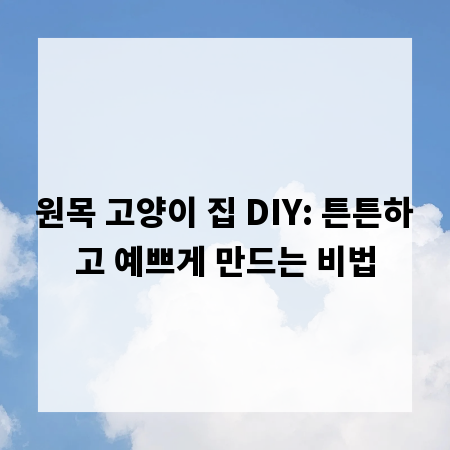 원목 고양이 집 DIY: 튼튼하고 예쁘게 만드는 비법