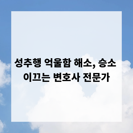 성추행 억울함 해소, 승소 이끄는 변호사 전문가