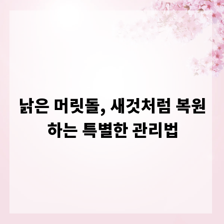 낡은 머릿돌, 새것처럼 복원하는 특별한 관리법