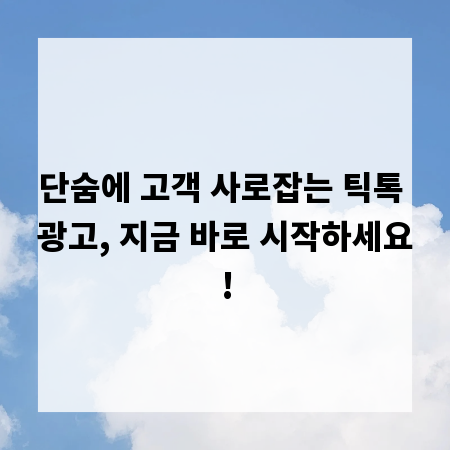 단숨에 고객 사로잡는 틱톡 광고, 지금 바로 시작하세요!