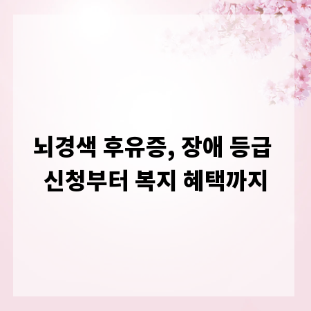 뇌경색 후유증, 장애 등급 신청부터 복지 혜택까지