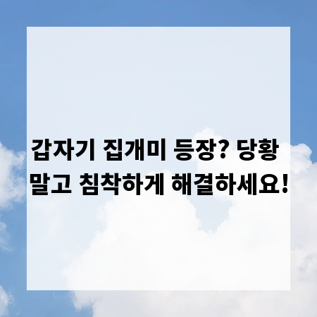 갑자기 집개미 등장? 당황 말고 침착하게 해결하세요!