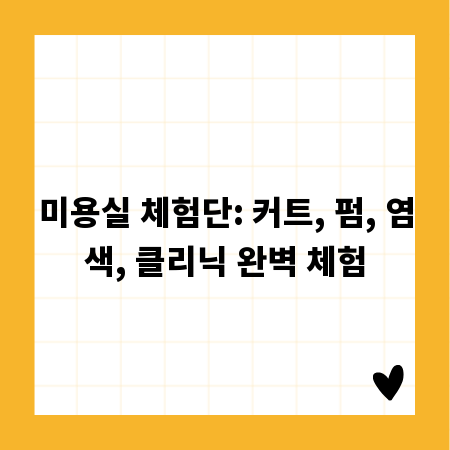 미용실 체험단: 커트, 펌, 염색, 클리닉 완벽 체험