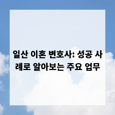 일산 이혼 변호사: 성공 사례로 알아보는 주요 업무