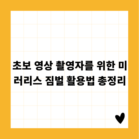 초보 영상 촬영자를 위한 미러리스 짐벌 활용법 총정리