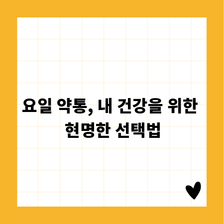 요일 약통, 내 건강을 위한 현명한 선택법
