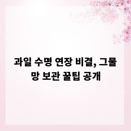과일 수명 연장 비결, 그물망 보관 꿀팁 공개