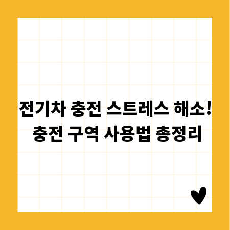 전기차 충전 스트레스 해소! 충전 구역 사용법 총정리