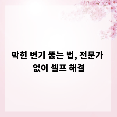 막힌 변기 뚫는 법, 전문가 없이 셀프 해결