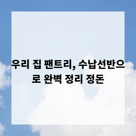 우리 집 팬트리, 수납선반으로 완벽 정리 정돈