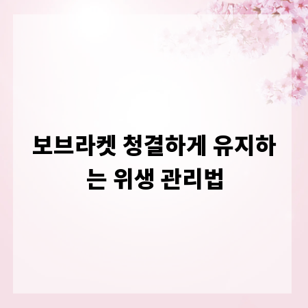 보브라켓 청결하게 유지하는 위생 관리법