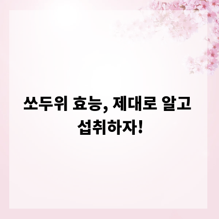 쏘두위 효능, 제대로 알고 섭취하자!