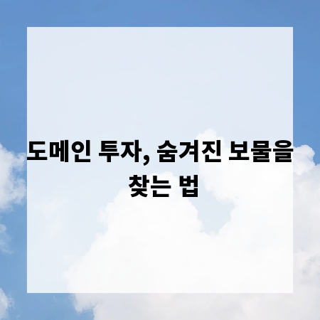 도메인 투자, 숨겨진 보물을 찾는 법