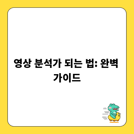 영상 분석가 되는 법: 완벽 가이드