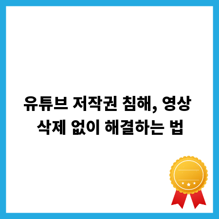 유튜브 저작권 침해, 영상 삭제 없이 해결하는 법