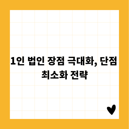 1인 법인 장점 극대화, 단점 최소화 전략