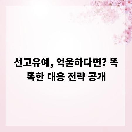 선고유예, 억울하다면? 똑똑한 대응 전략 공개
