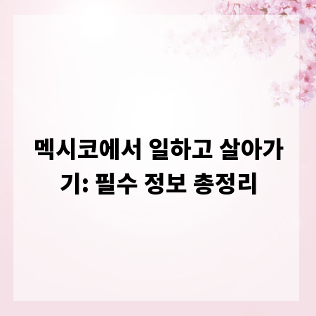 멕시코에서 일하고 살아가기: 필수 정보 총정리