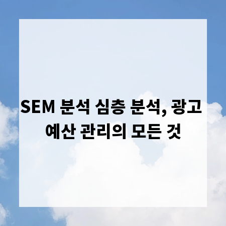 SEM 분석 심층 분석, 광고 예산 관리의 모든 것