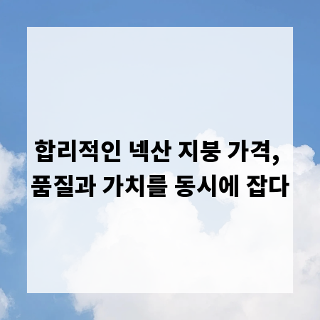 합리적인 넥산 지붕 가격, 품질과 가치를 동시에 잡다