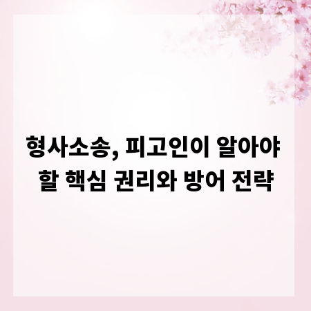 형사소송, 피고인이 알아야 할 핵심 권리와 방어 전략