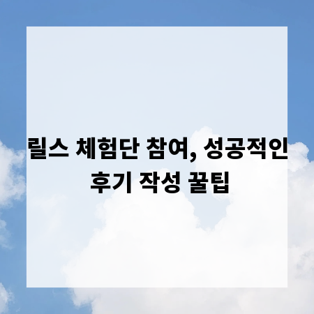릴스 체험단 참여, 성공적인 후기 작성 꿀팁
