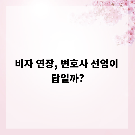 비자 연장, 변호사 선임이 답일까?