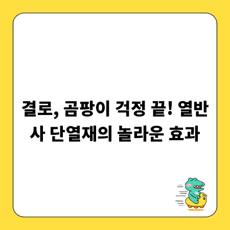 결로, 곰팡이 걱정 끝! 열반사 단열재의 놀라운 효과