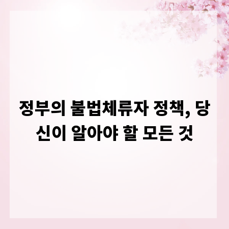 정부의 불법체류자 정책, 당신이 알아야 할 모든 것