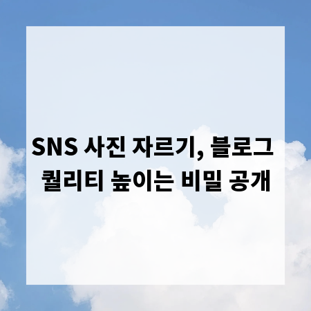 SNS 사진 자르기, 블로그 퀄리티 높이는 비밀 공개