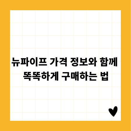 뉴파이프 가격 정보와 함께 똑똑하게 구매하는 법