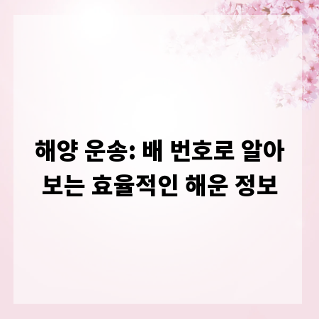 해양 운송: 배 번호로 알아보는 효율적인 해운 정보