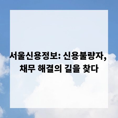 서울신용정보: 신용불량자, 채무 해결의 길을 찾다
