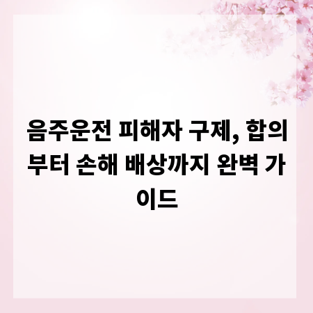 음주운전 피해자 구제, 합의부터 손해 배상까지 완벽 가이드