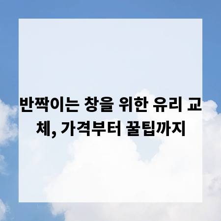 반짝이는 창을 위한 유리 교체, 가격부터 꿀팁까지