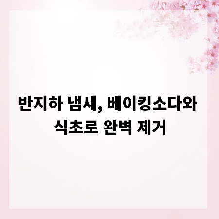반지하 냄새, 베이킹소다와 식초로 완벽 제거