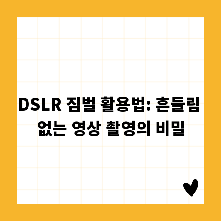 DSLR 짐벌 활용법: 흔들림 없는 영상 촬영의 비밀