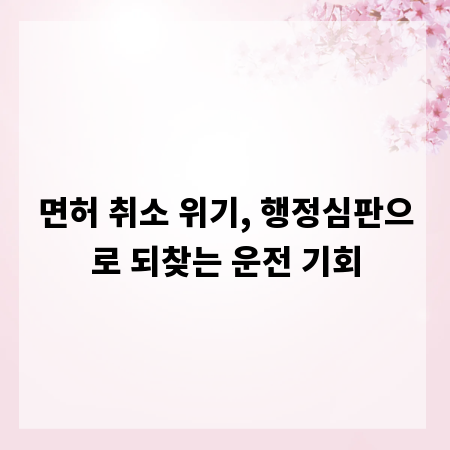 면허 취소 위기, 행정심판으로 되찾는 운전 기회